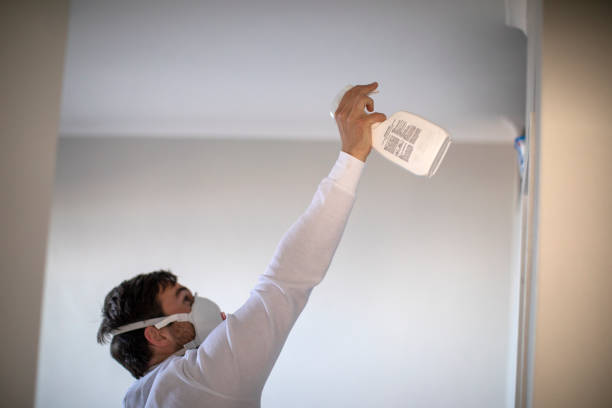 Home Mold Removal in Wheatland, WY