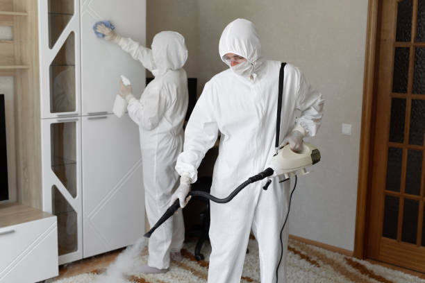 Best Same-Day Mold Removal  in Wheatland, WY