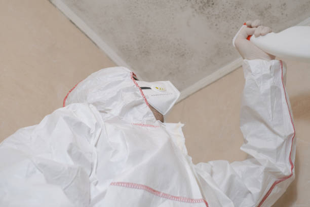 Best Professional Mold Removal  in Wheatland, WY
